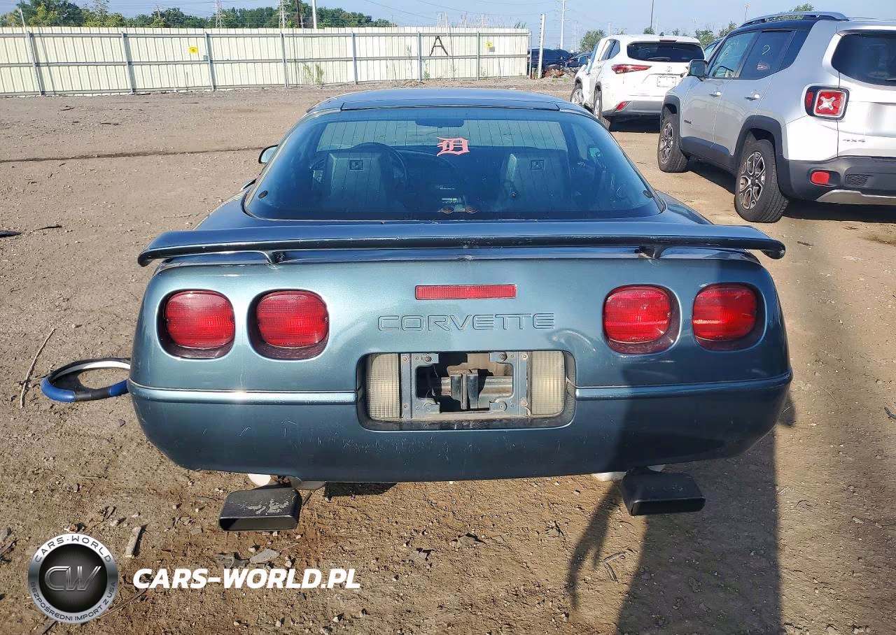 1991 Chevrolet Corvette VIN:1G1YY2385M5113307 - 6