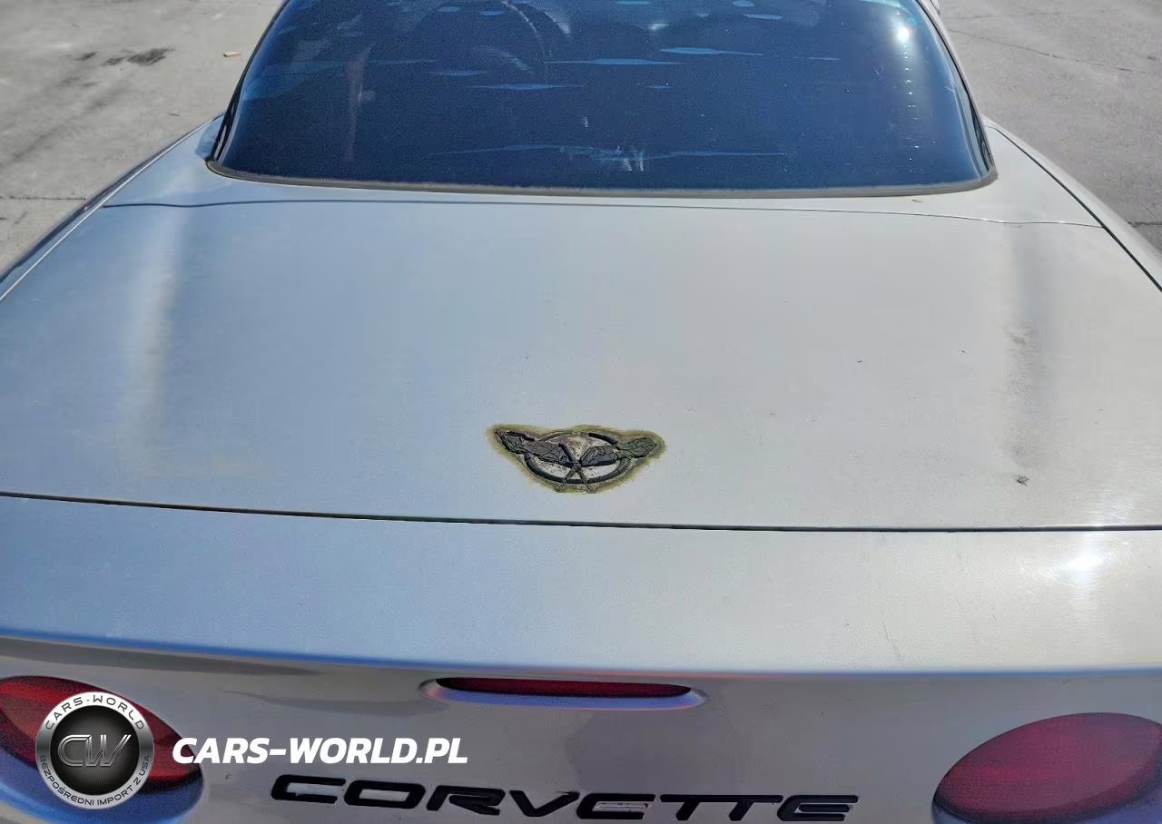 2004 Chevrolet Corvette Z06 VIN:1G1YY12SX45125315 - 10