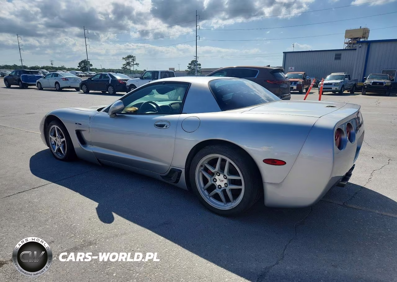 2004 Chevrolet Corvette Z06 VIN:1G1YY12SX45125315 - 2