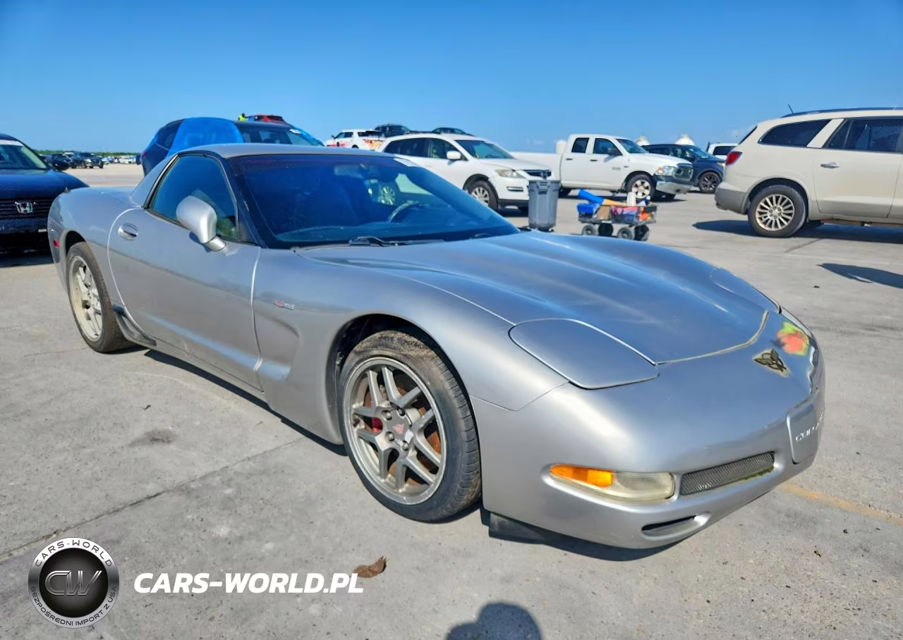 2004 Chevrolet Corvette Z06 VIN:1G1YY12SX45125315 - 4