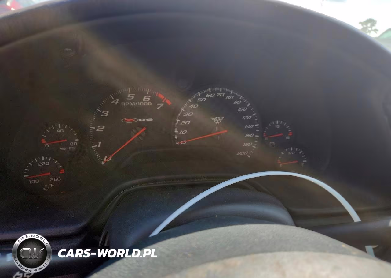 2004 Chevrolet Corvette Z06 VIN:1G1YY12SX45125315 - 9