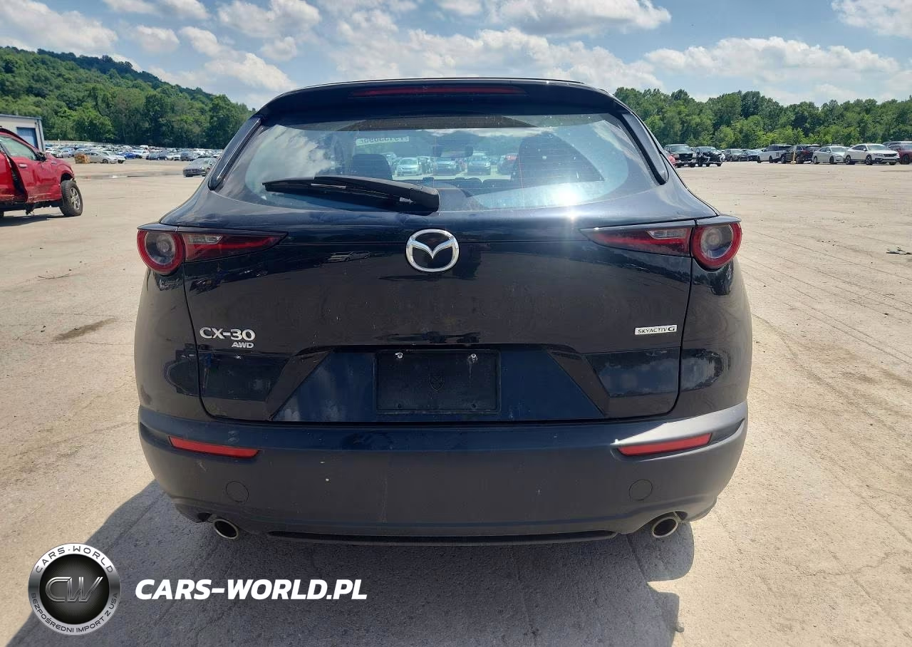 2021 Mazda Cx-30 VIN:3MVDMBAL8MM263400 - 6