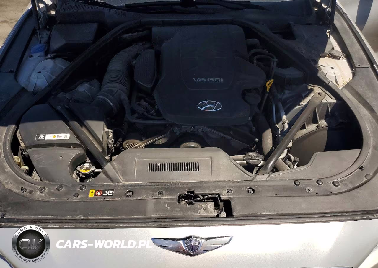 2015 Hyundai Genesis 3.8L VIN:KMHGN4JE3FU025733 - 11