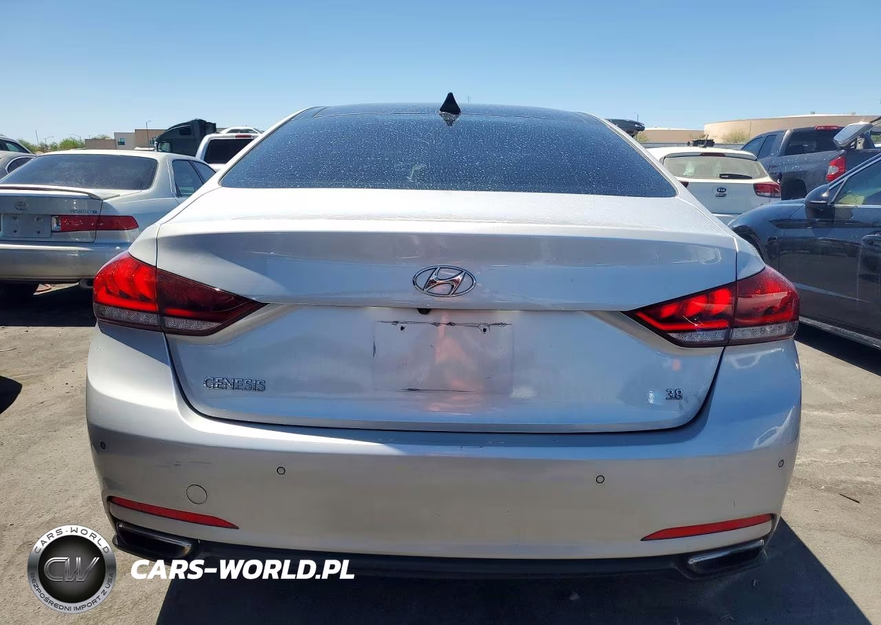 2015 Hyundai Genesis 3.8L VIN:KMHGN4JE3FU025733 - 6