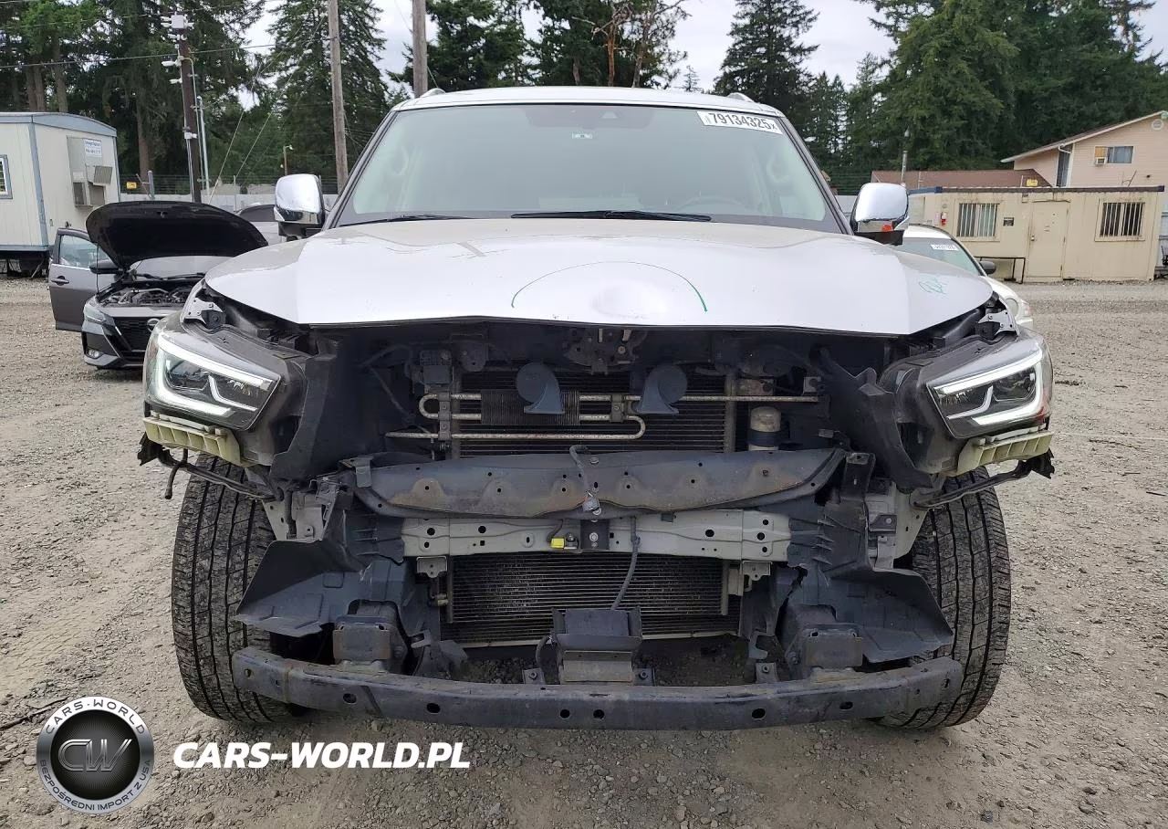 2019 Infiniti Qx80 Luxe-Limited VIN:JN8AZ2NE0K9238721 - 5