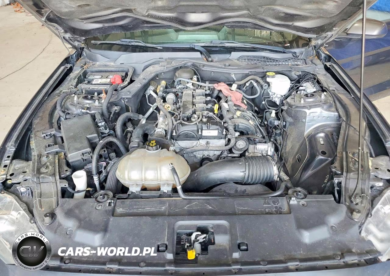 2020 Ford Mustang VIN:1FA6P8TH2L5133801 - 11