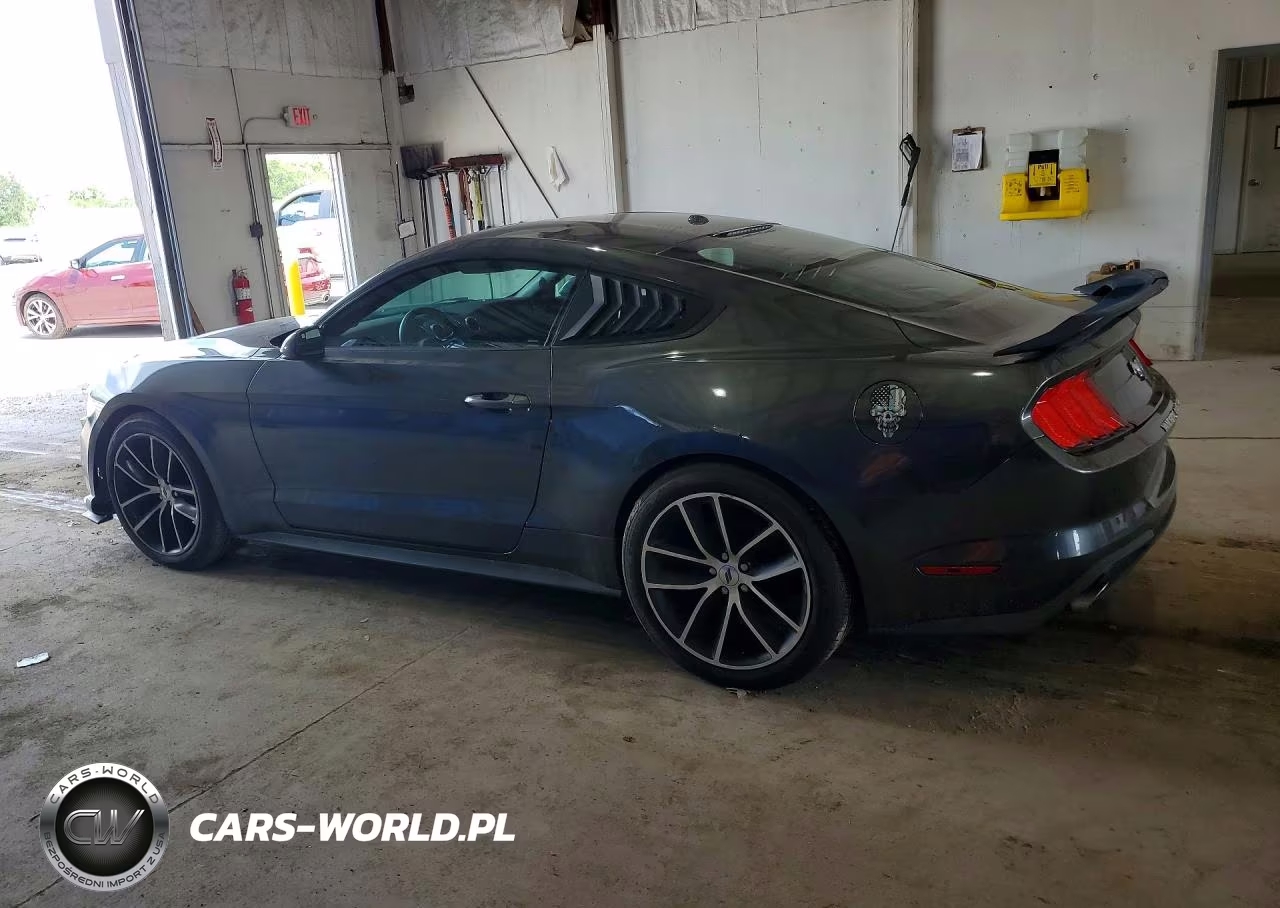 2020 Ford Mustang VIN:1FA6P8TH2L5133801 - 2