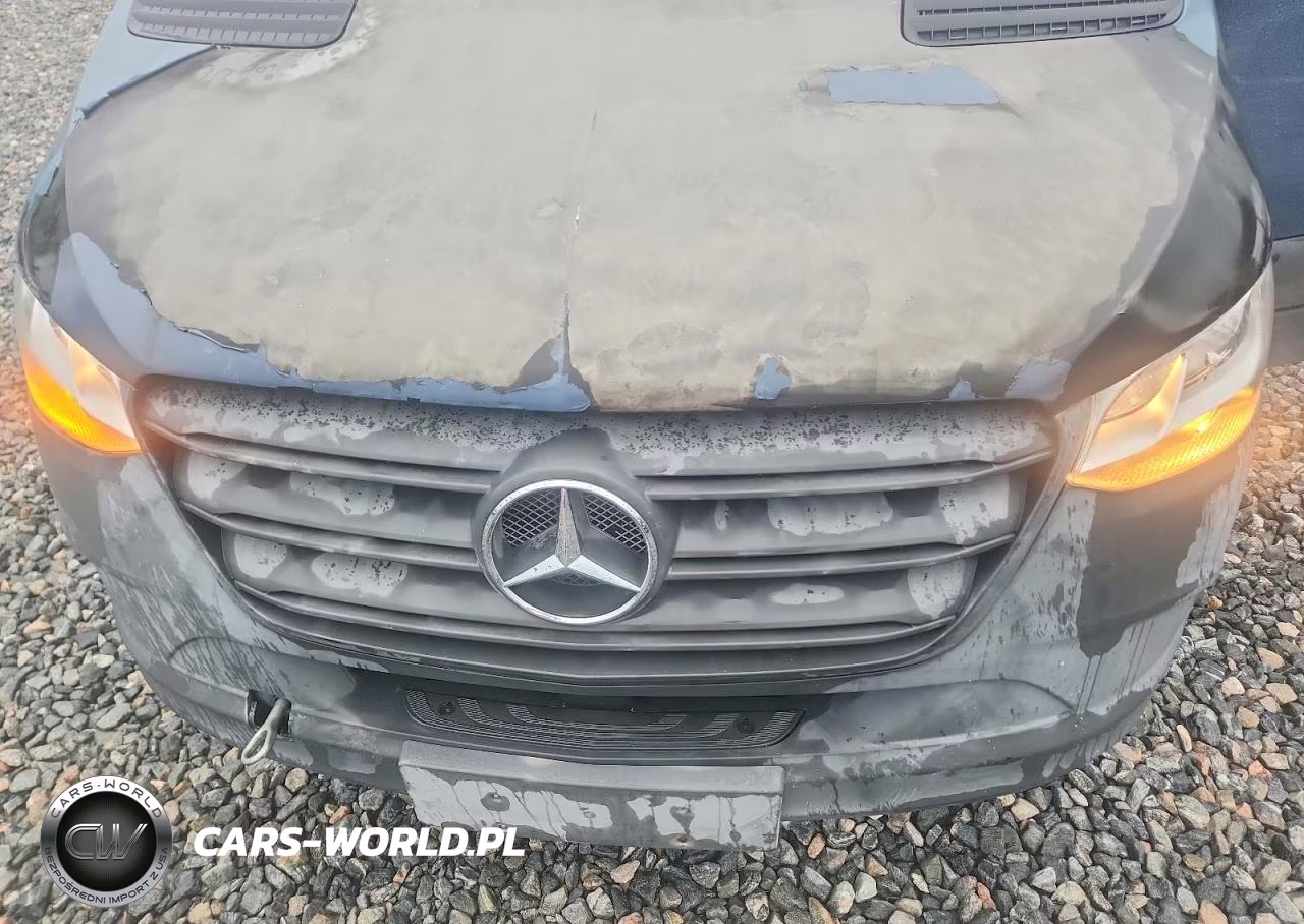 2019 Mercedes-Benz Sprinter 2500-3500 VIN:WD4PF0CD8KP085648 - 11