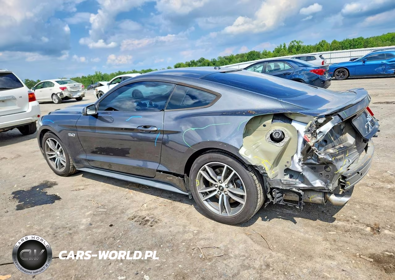 2016 Ford Mustang Gt VIN:1FA6P8CF8G5316866 - 2