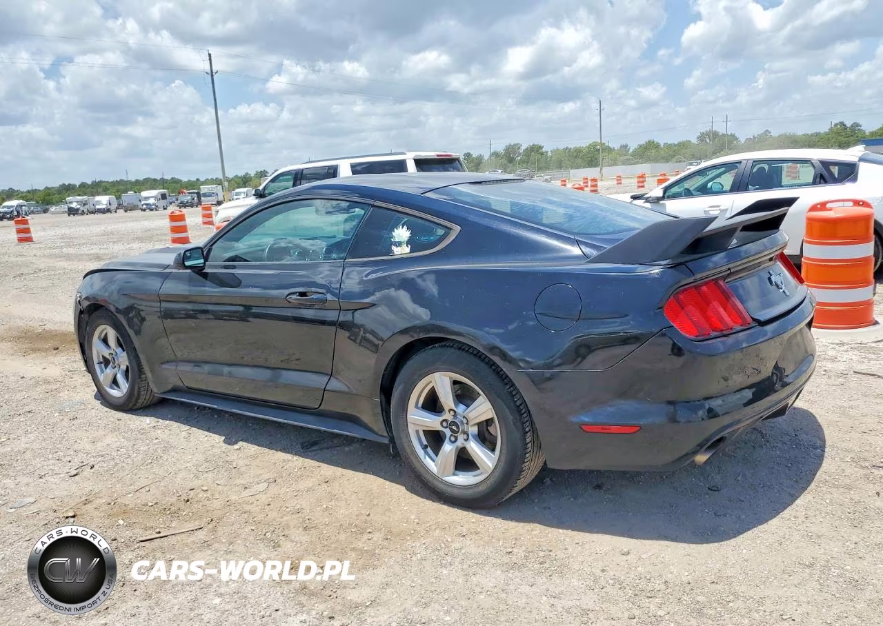 2016 Ford Mustang VIN:1FA6P8AM1G5302860 - 2