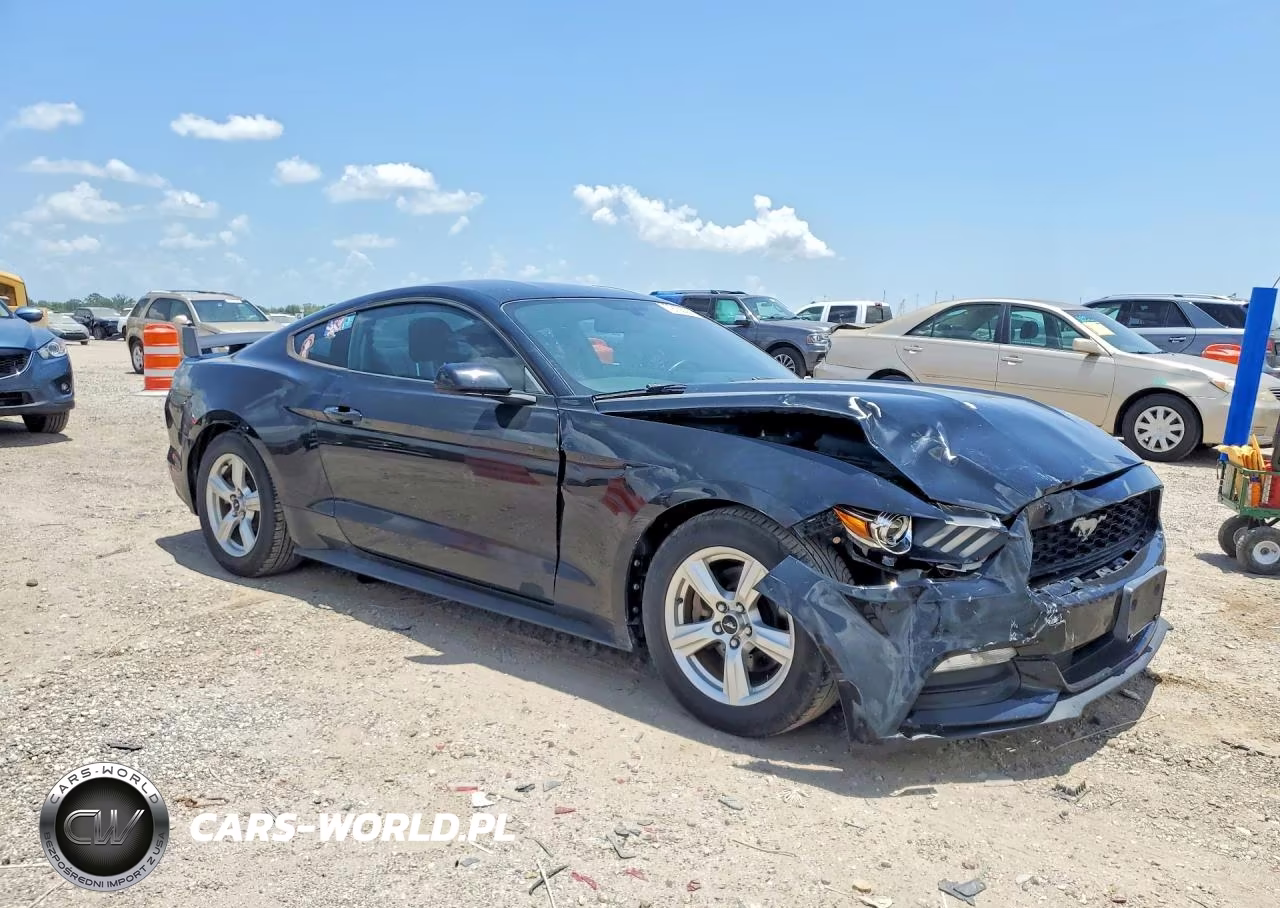 2016 Ford Mustang VIN:1FA6P8AM1G5302860 - 4