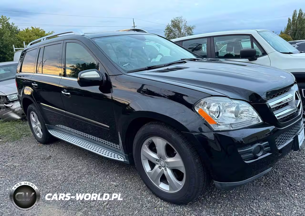 2010 Mercedes-Benz Gl 450 4Matic