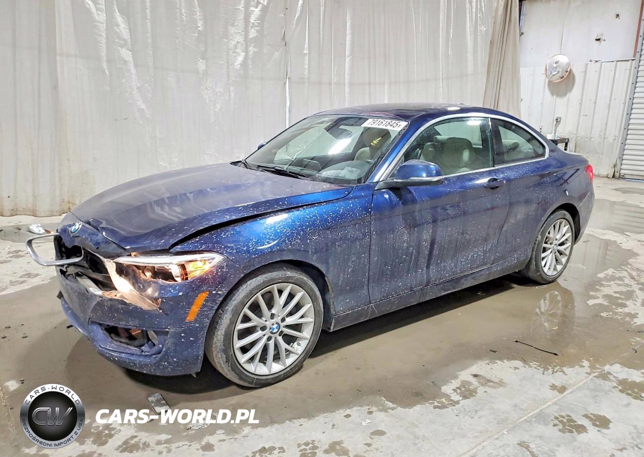 2016 BMW 228 Xi Sulev