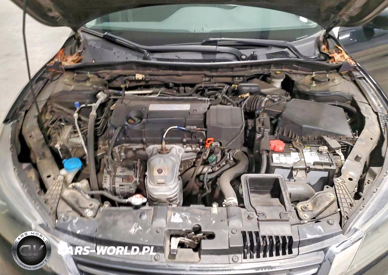 2014 Honda Accord VIN:1HGCR2F39EA293545 - 11