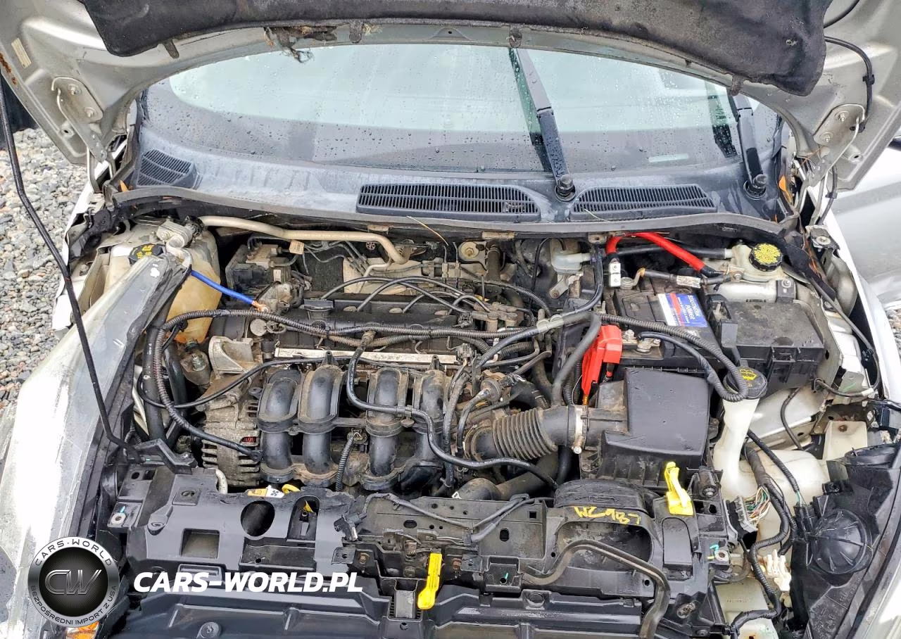 2015 Ford Fiesta Se VIN:3FADP4BJ5FM214312 - 11