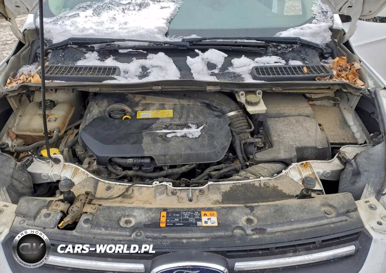 2013 Ford Escape Se VIN:1FMCU9GX3DUC27329 - 12