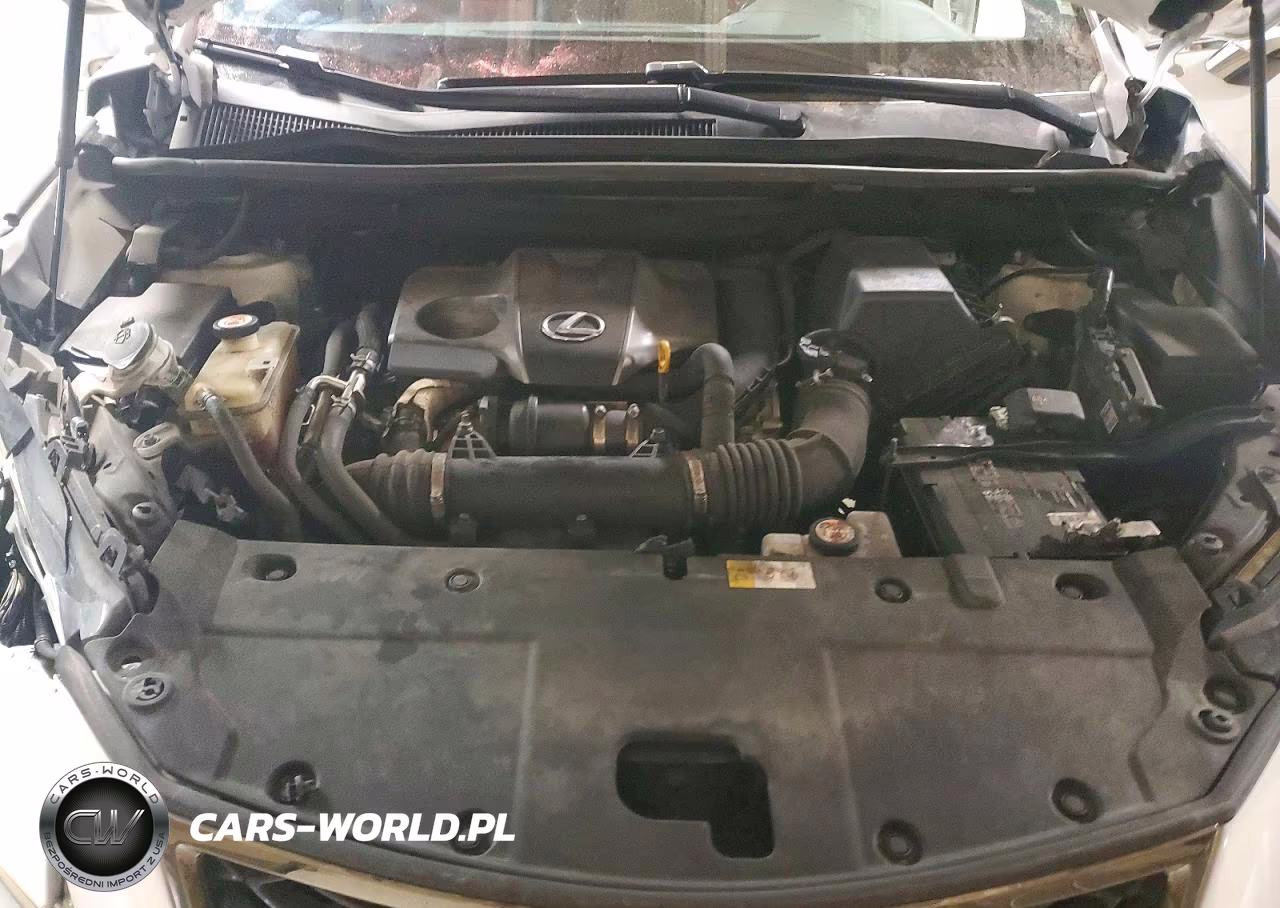 2019 Lexus Nx 300 F Sport VIN:JTJBARBZ4K2187768 - 12
