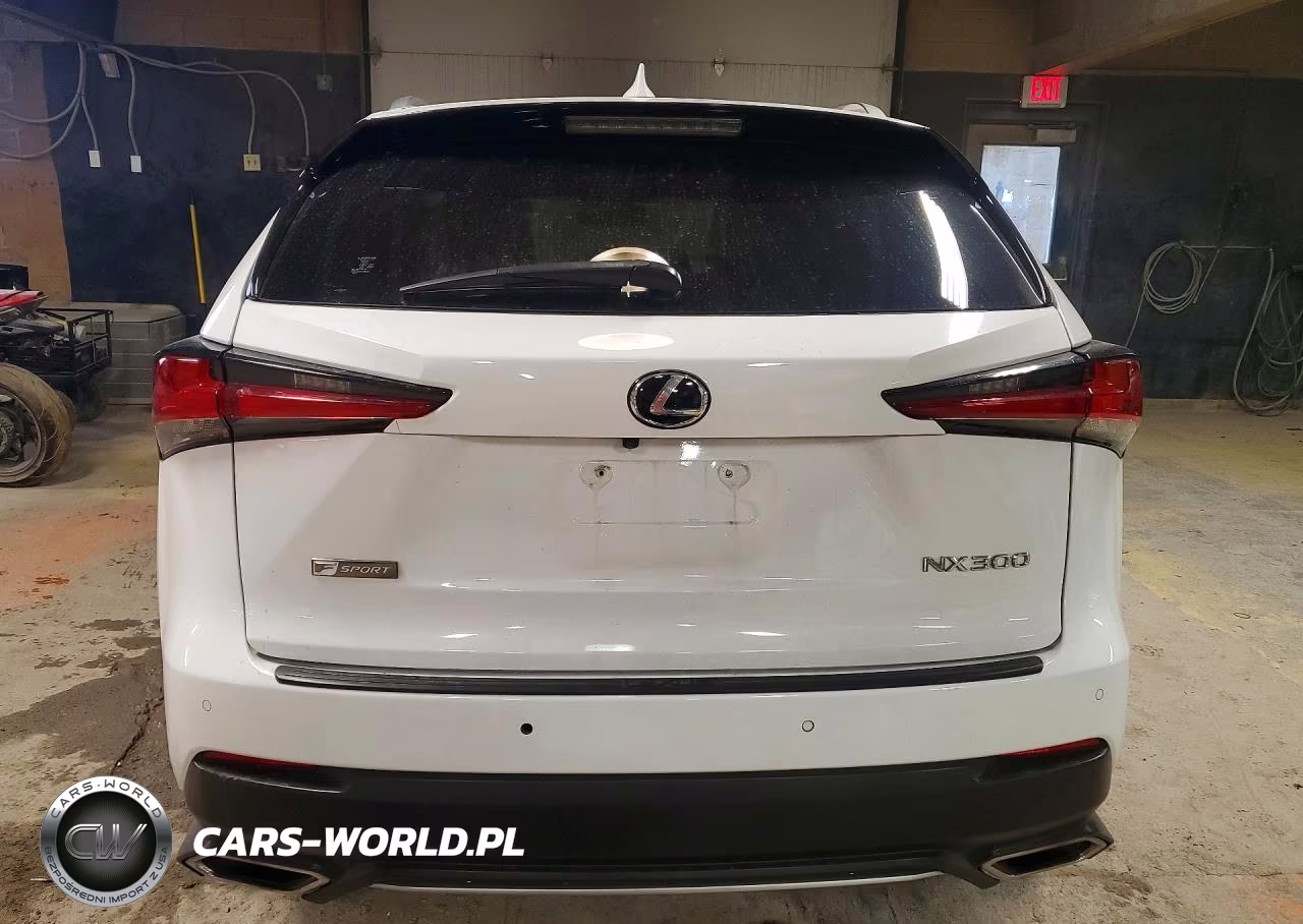2019 Lexus Nx 300 F Sport VIN:JTJBARBZ4K2187768 - 6