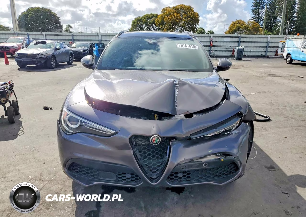 2019 Alfa Romeo Stelvio Ti VIN:ZASPAKBN3K7C51774 - 5
