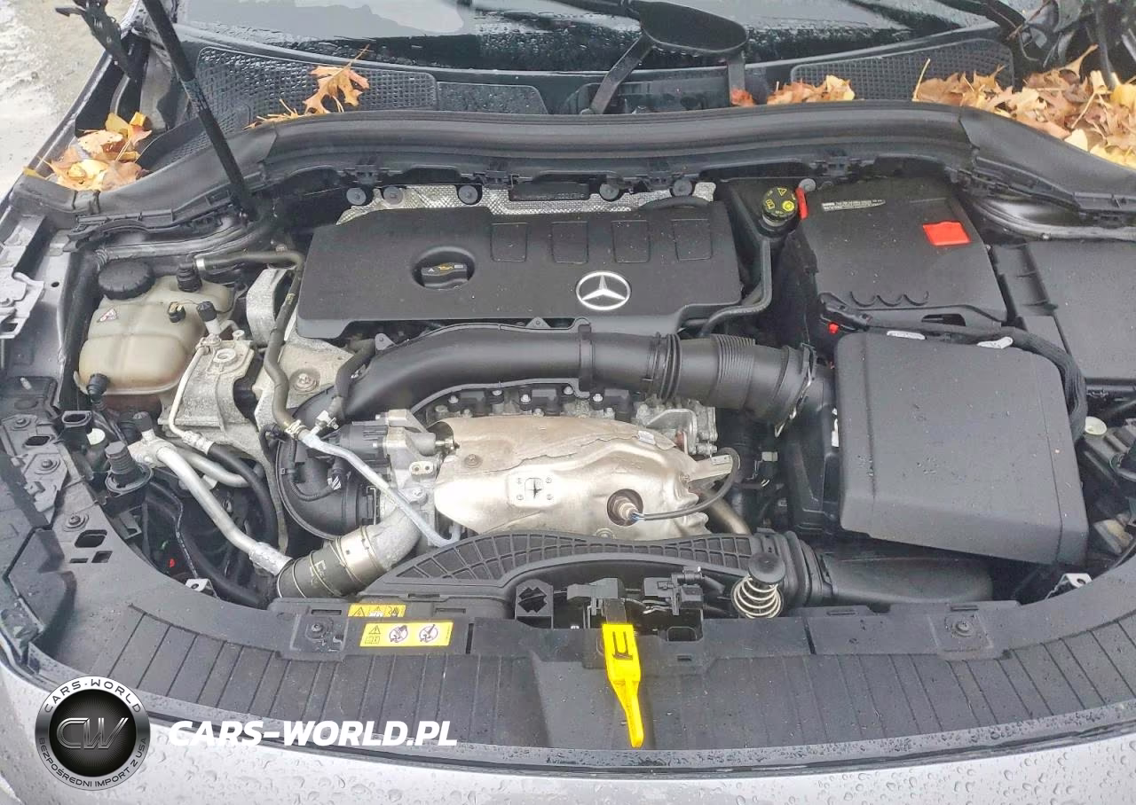 2021 Mercedes-Benz Gla 250 4Matic VIN:W1N4N4HB9MJ222139 - 12
