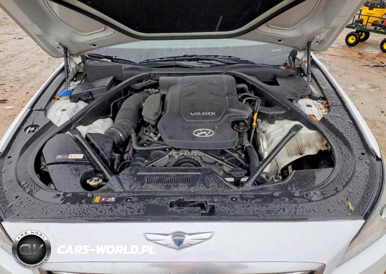 2016 Hyundai Genesis 3.8L VIN:KMHGN4JE0GU141022 - 11