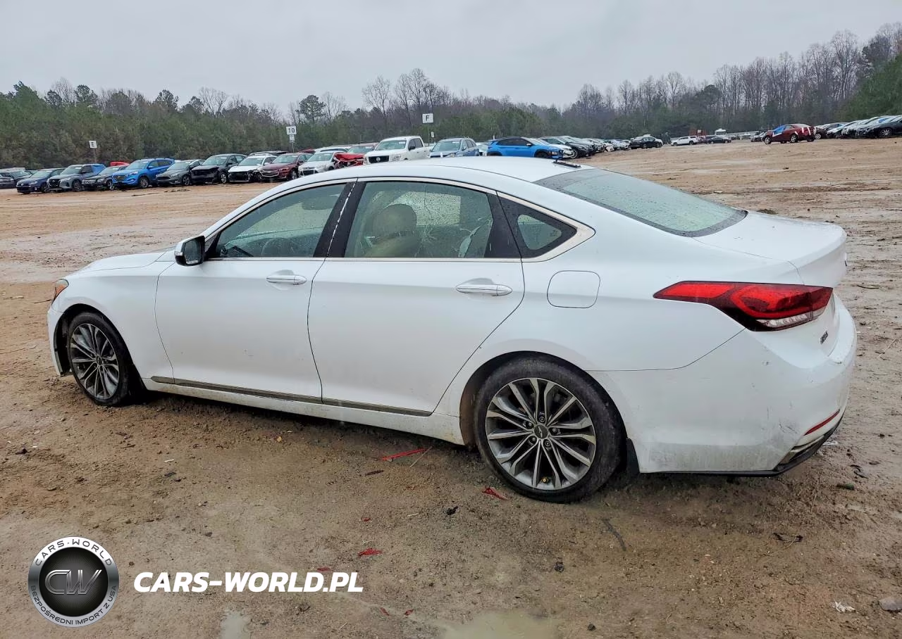2016 Hyundai Genesis 3.8L VIN:KMHGN4JE0GU141022 - 2