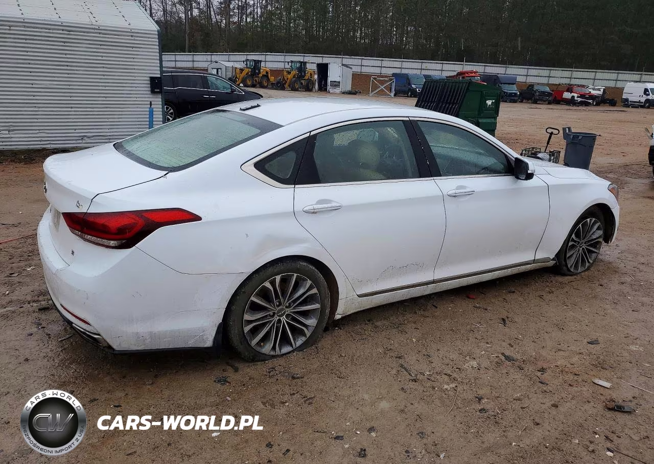 2016 Hyundai Genesis 3.8L VIN:KMHGN4JE0GU141022 - 3