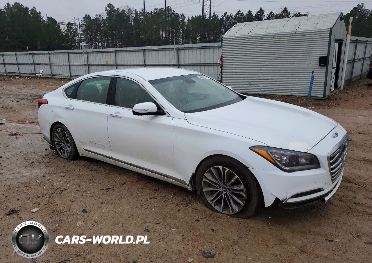 2016 Hyundai Genesis 3.8L VIN:KMHGN4JE0GU141022 - 4