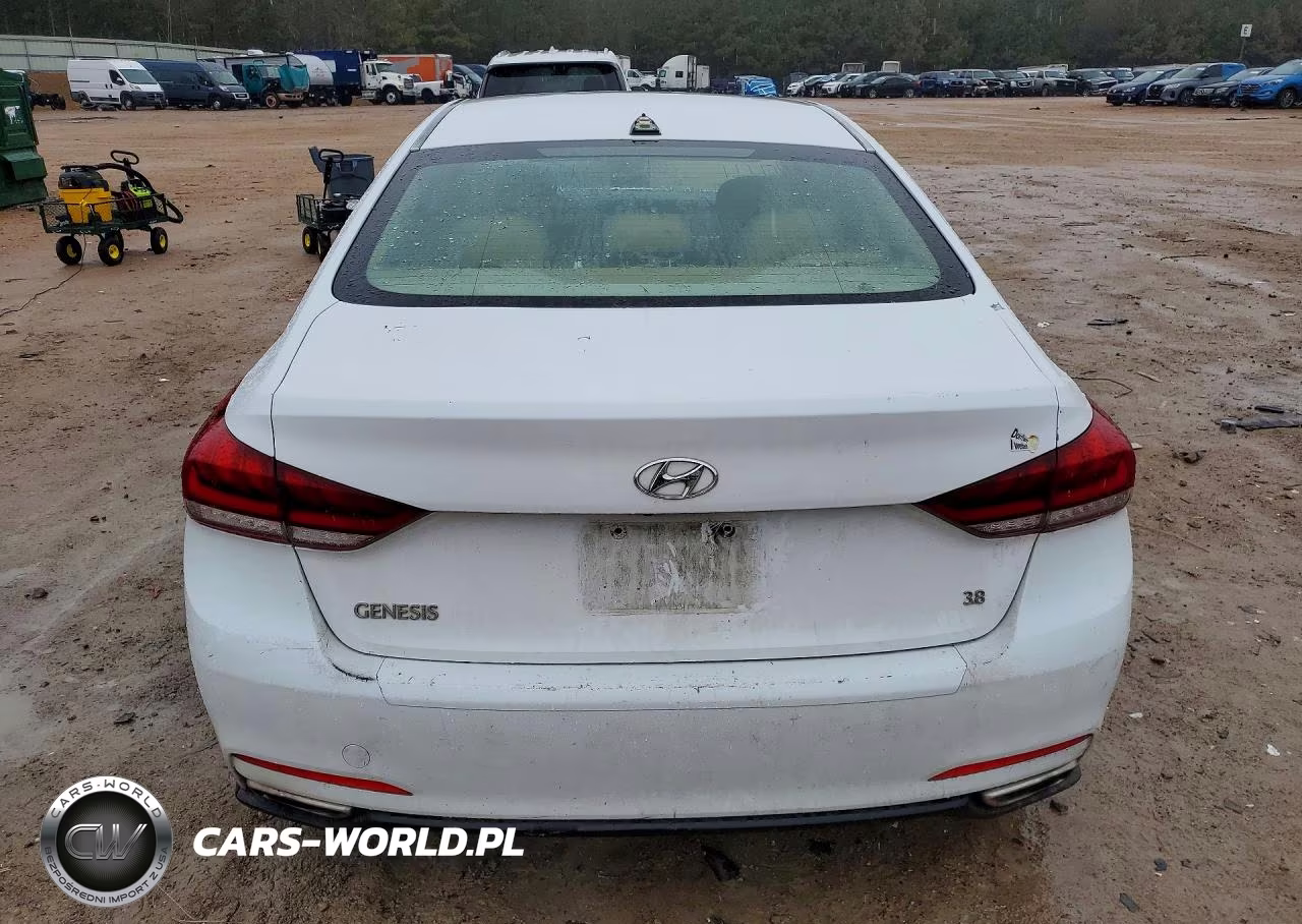 2016 Hyundai Genesis 3.8L VIN:KMHGN4JE0GU141022 - 6