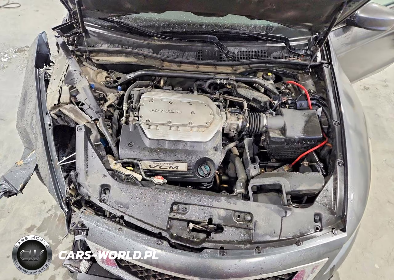 2009 Honda Accord Exl VIN:1HGCS22869A002415 - 11