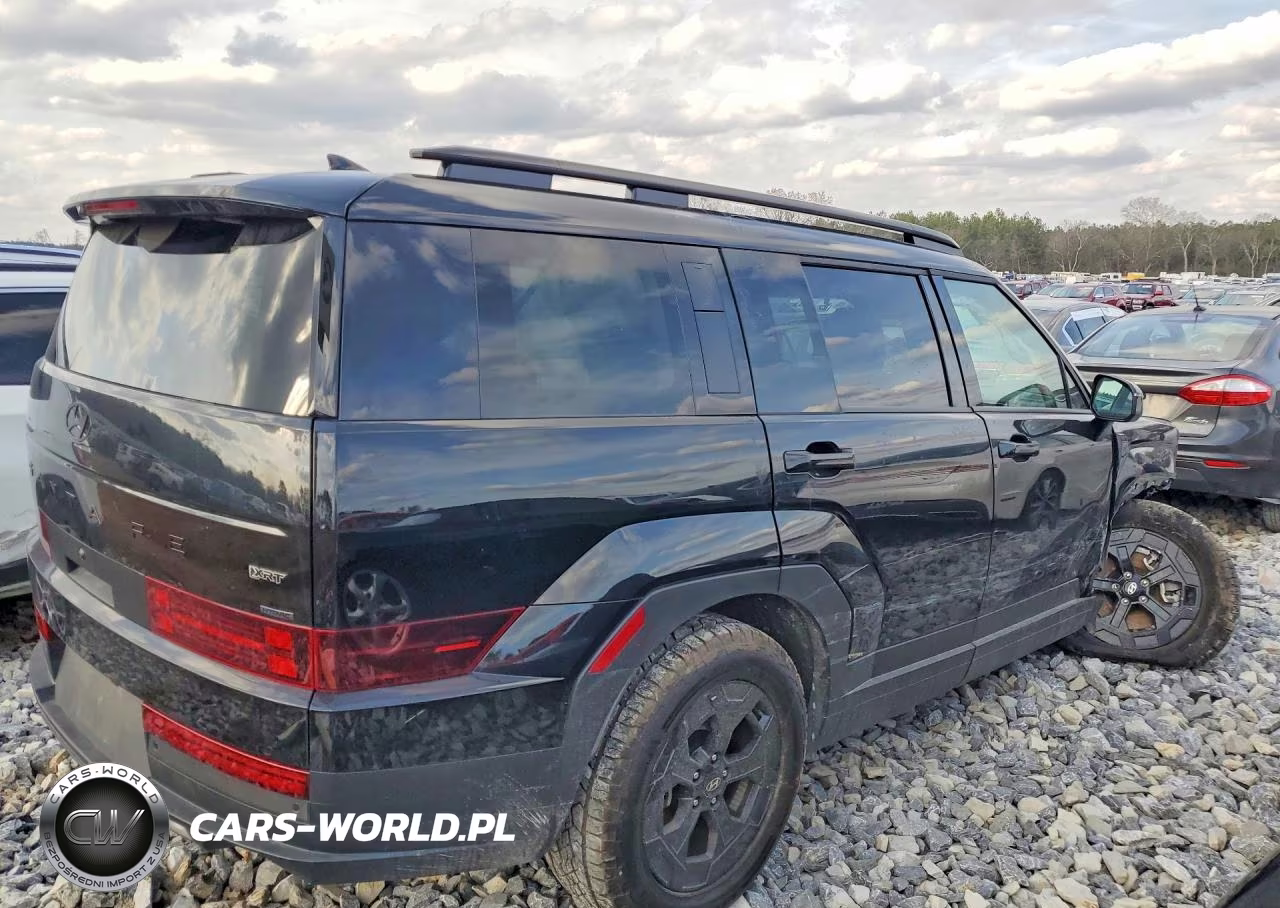 2025 Hyundai Santa Fe Xrt VIN:5NMP3DGL6SH104492 - 3