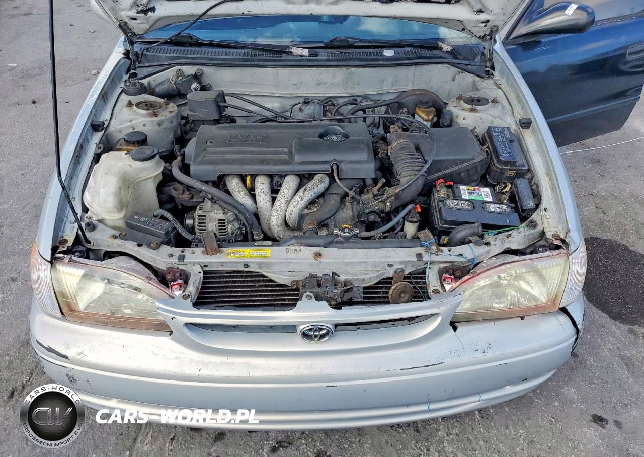 2000 Toyota Corolla Ve VIN:2T1BR12E3YC336899 - 11