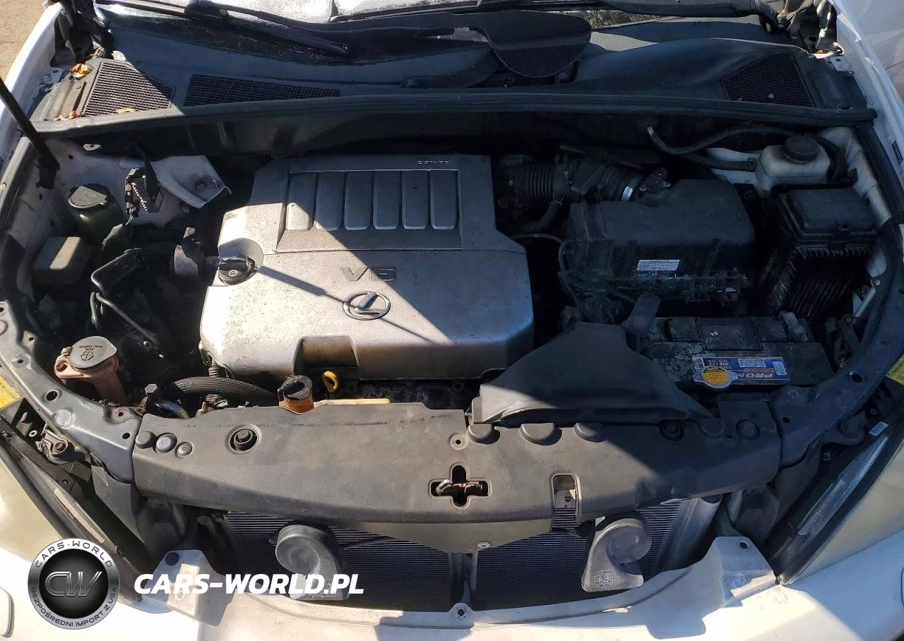 2009 Lexus Rx 350 VIN:2T2HK31U89C127576 - 12