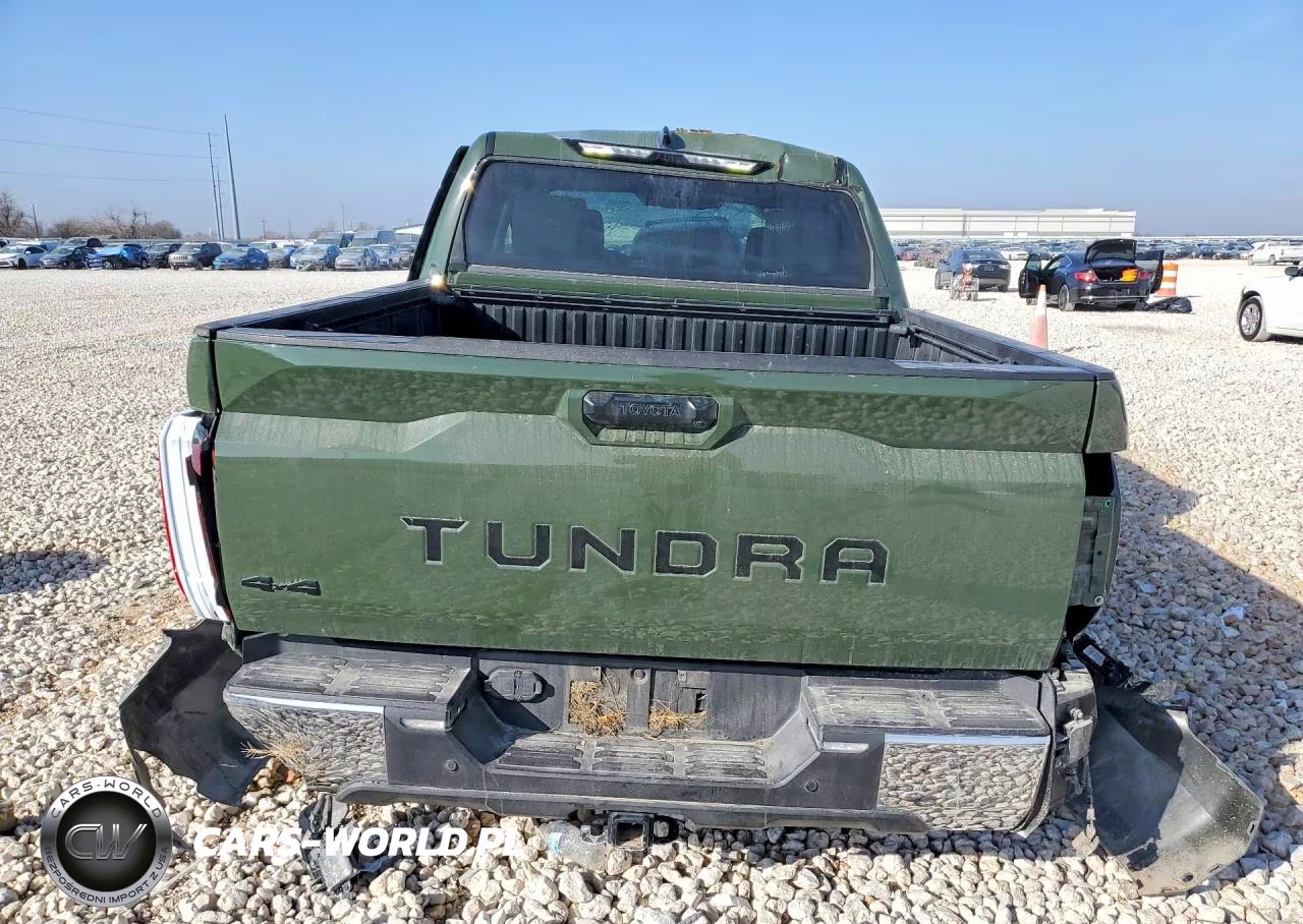 2022 Toyota Tundra Sr5 VIN:5TFLA5DBXNX046484 - 6
