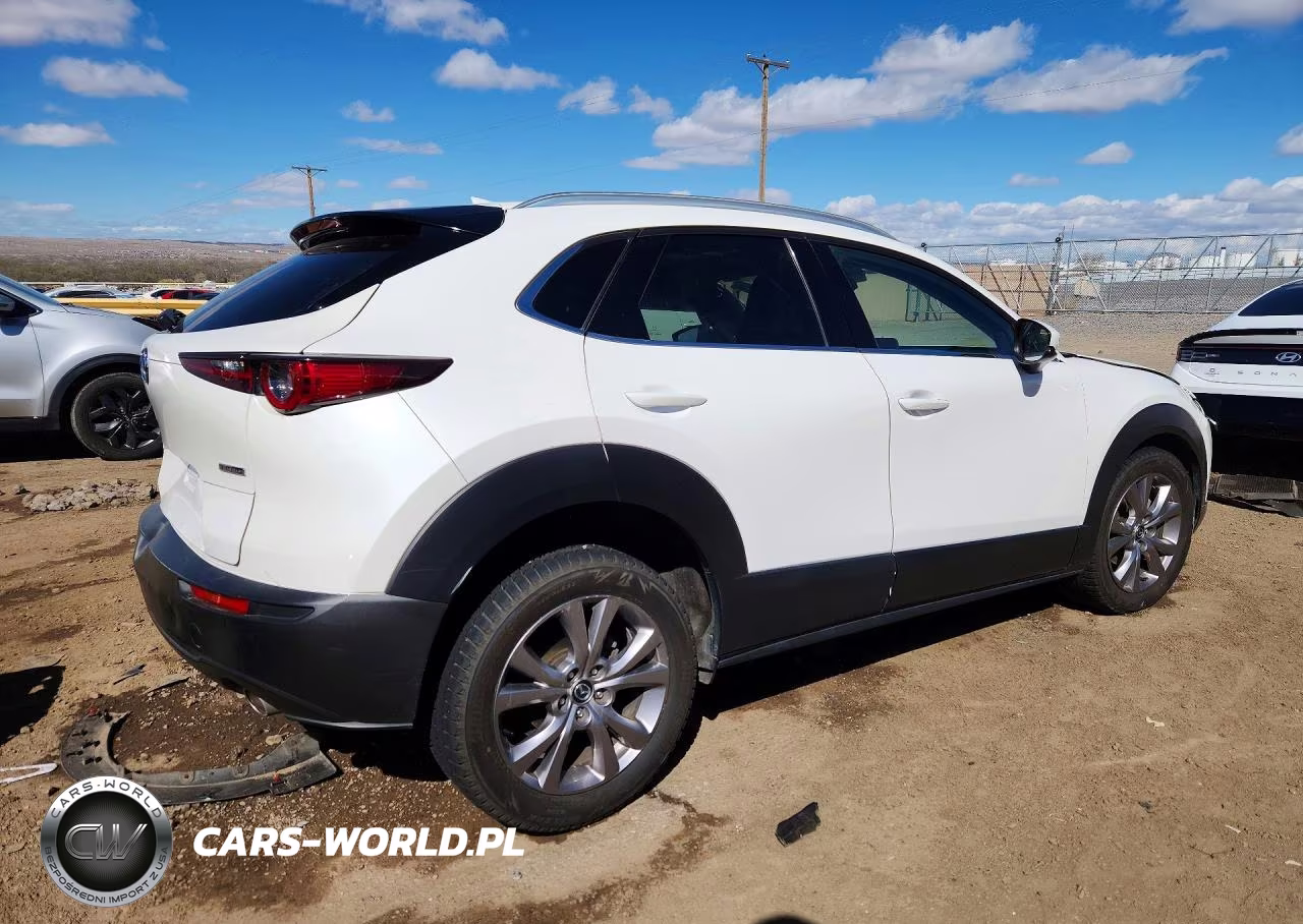 2020 Mazda Cx-30 Premium VIN:3MVDMAEM2LM128327 - 3