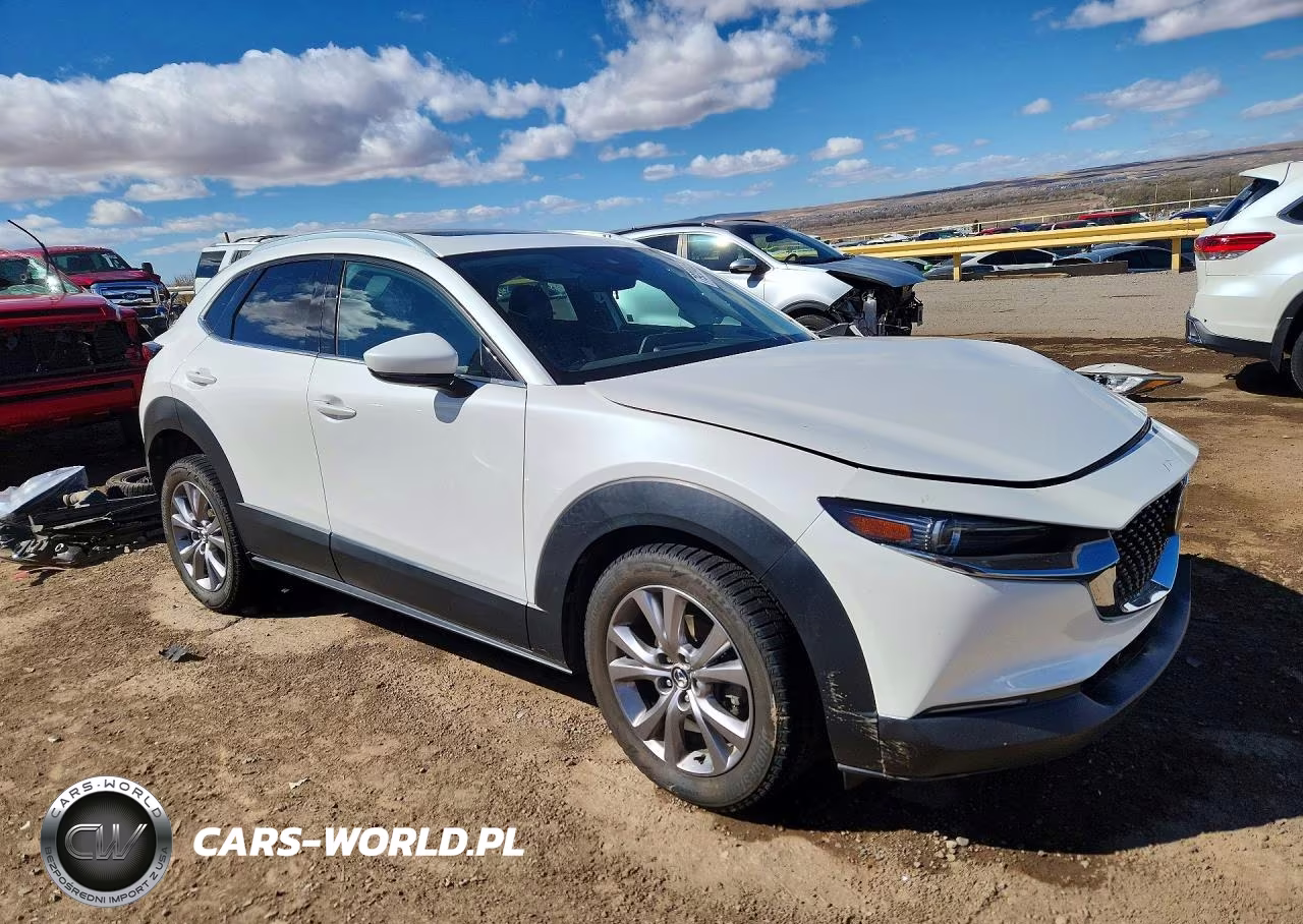 2020 Mazda Cx-30 Premium VIN:3MVDMAEM2LM128327 - 4