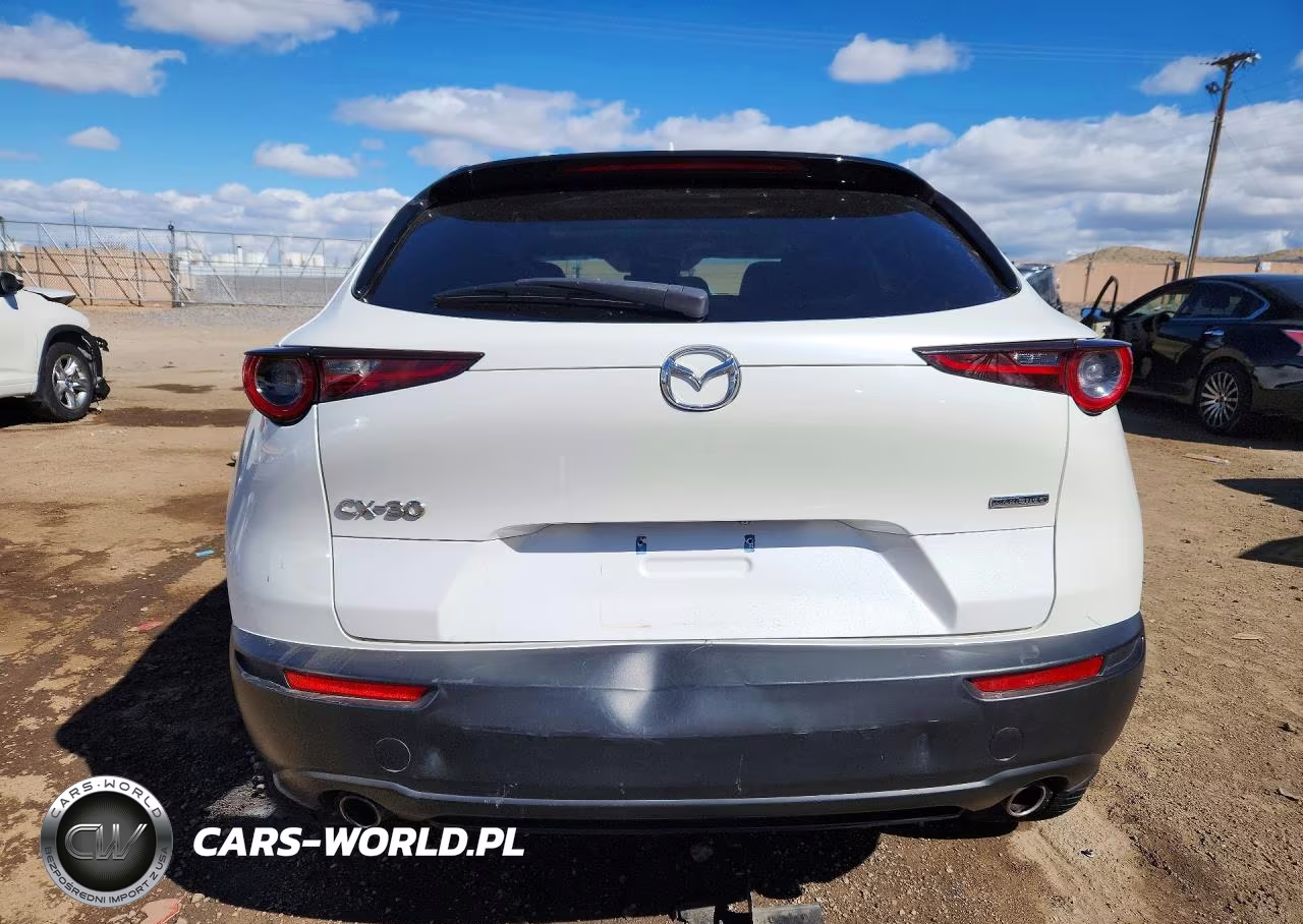 2020 Mazda Cx-30 Premium VIN:3MVDMAEM2LM128327 - 6