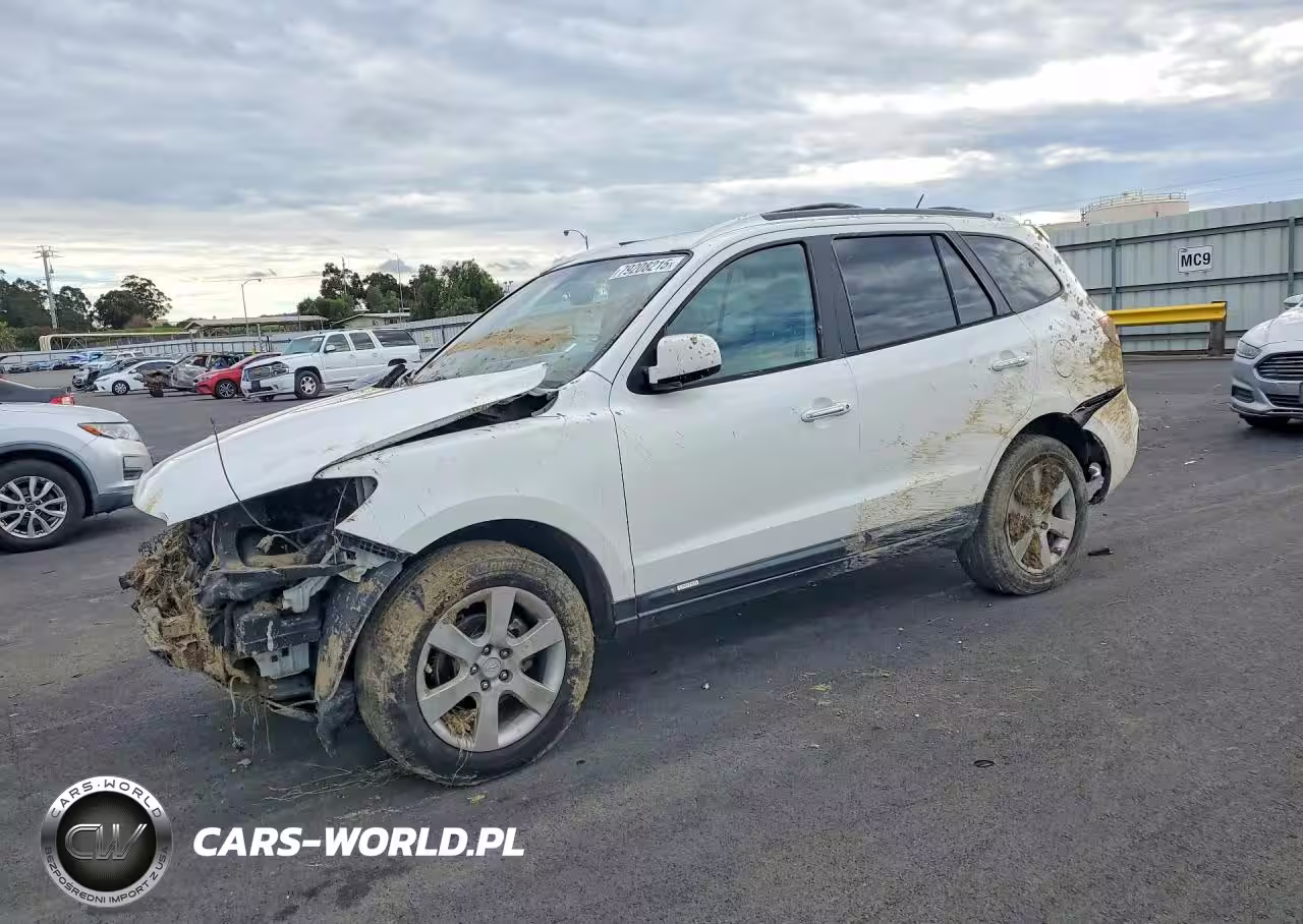 2007 Hyundai Santa Fe Se