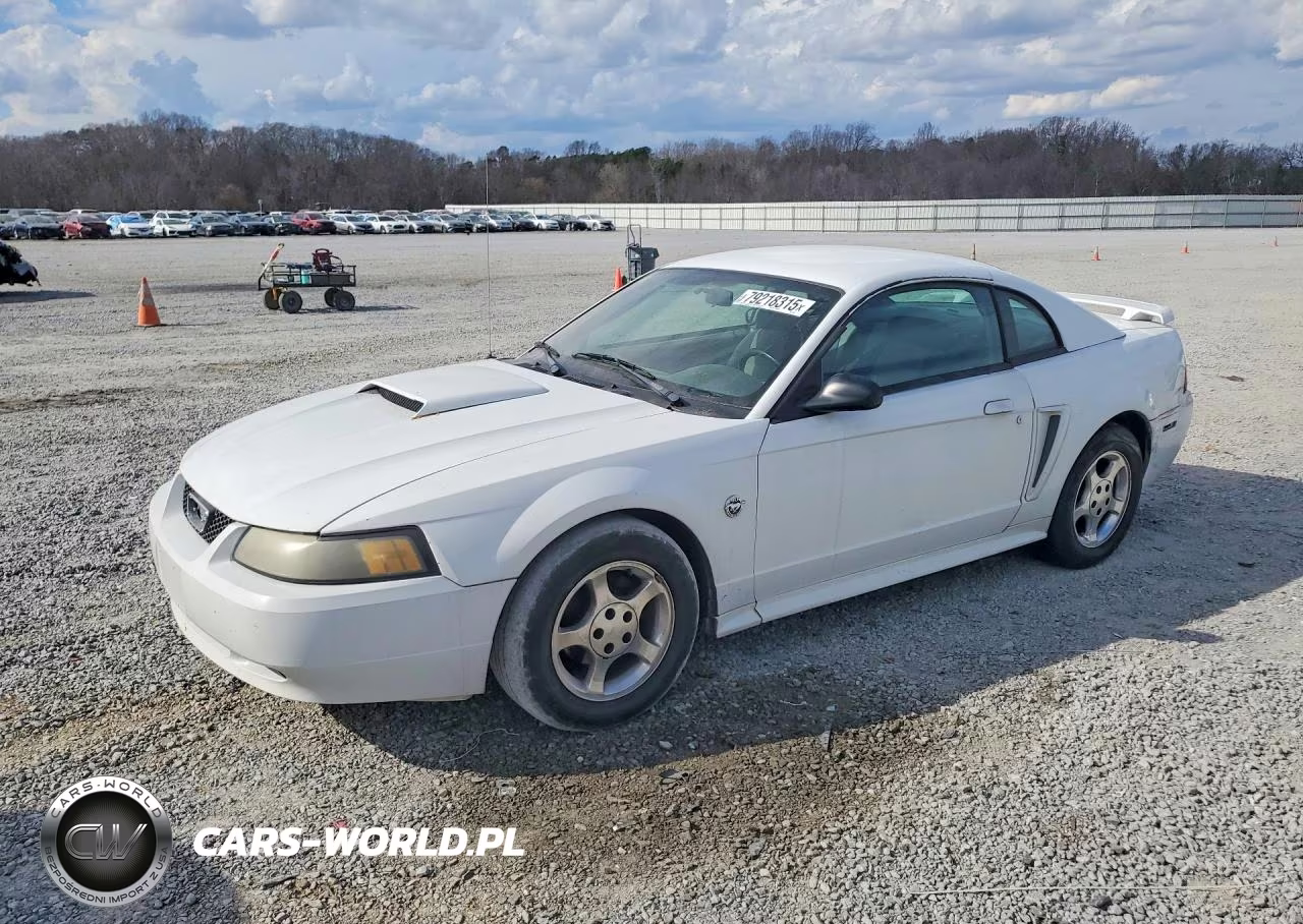 2004 Ford Mustang