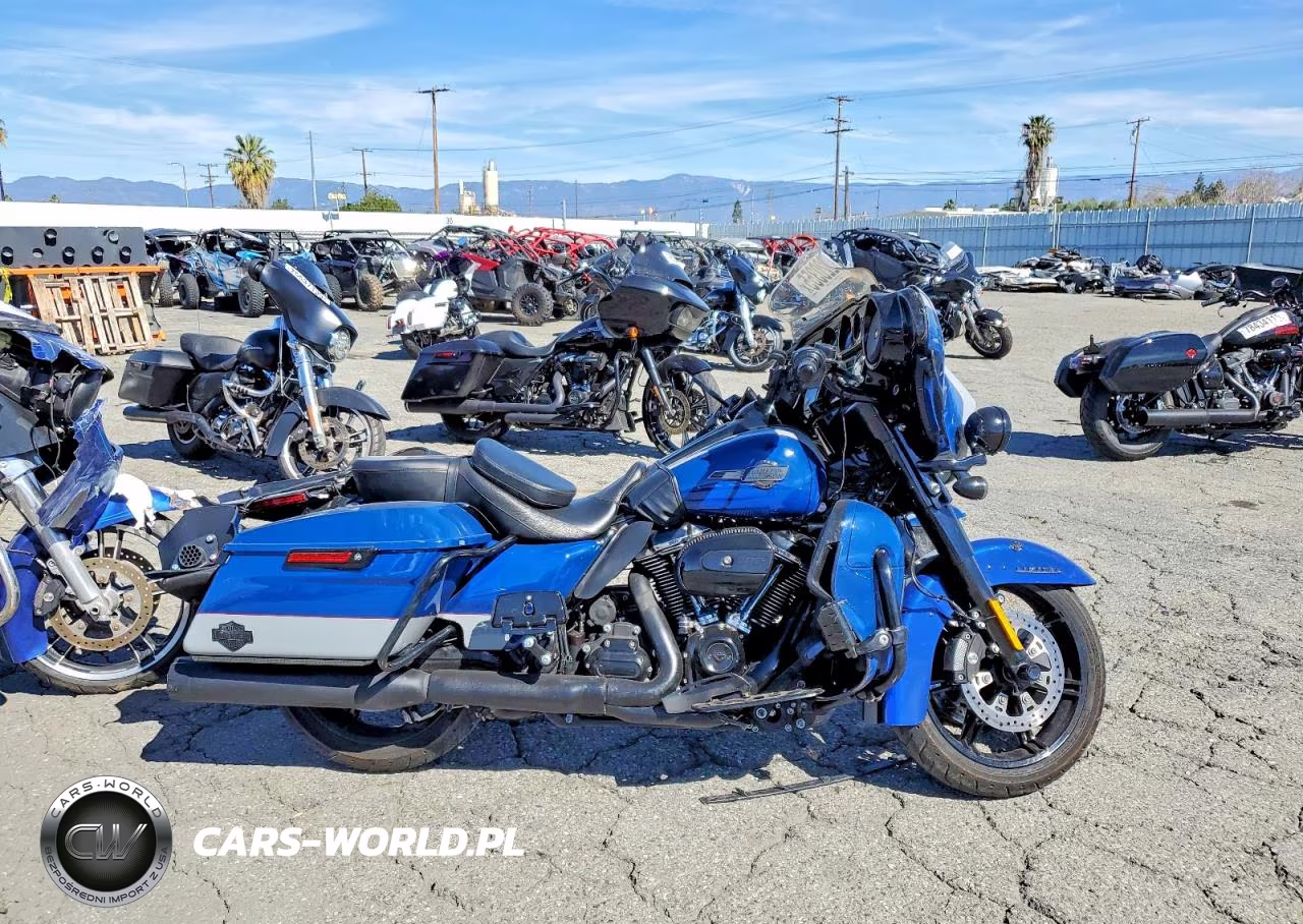 2023 Harley Davidson Flhtk