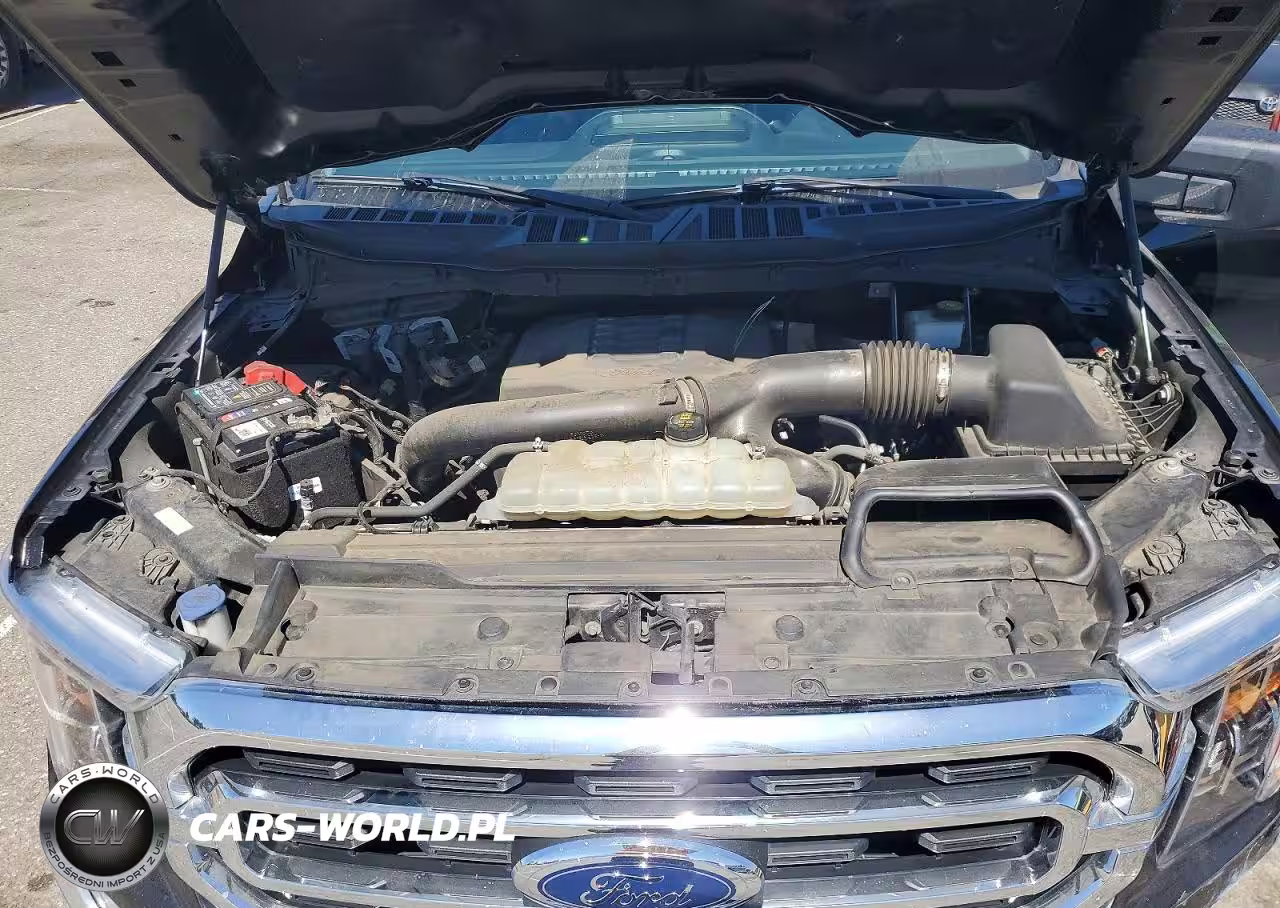 2021 Chci F-150 VIN:1FTFW1E8XMFC33741 - 11