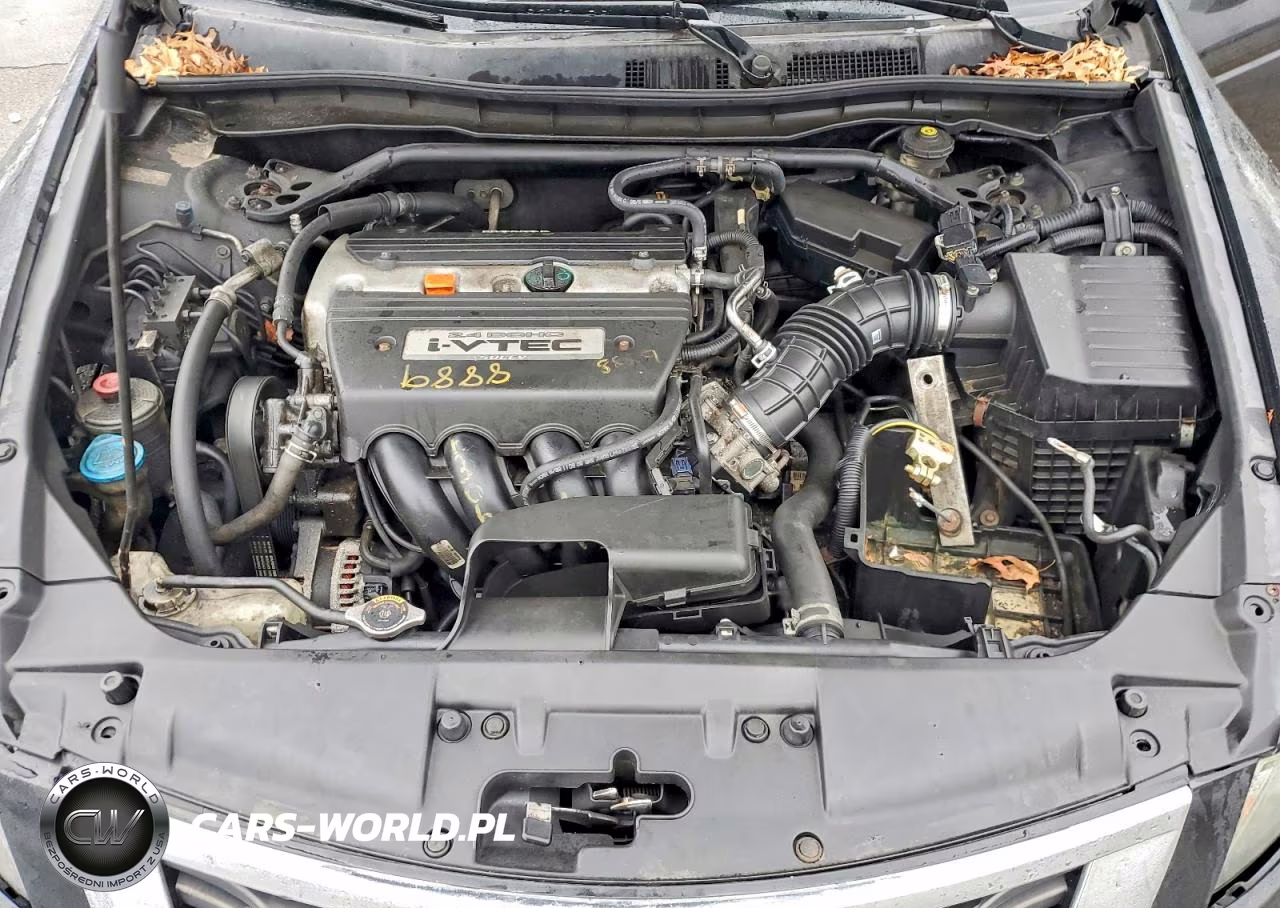 2010 Honda Accord Exl VIN:1HGCP2F84AA095662 - 11