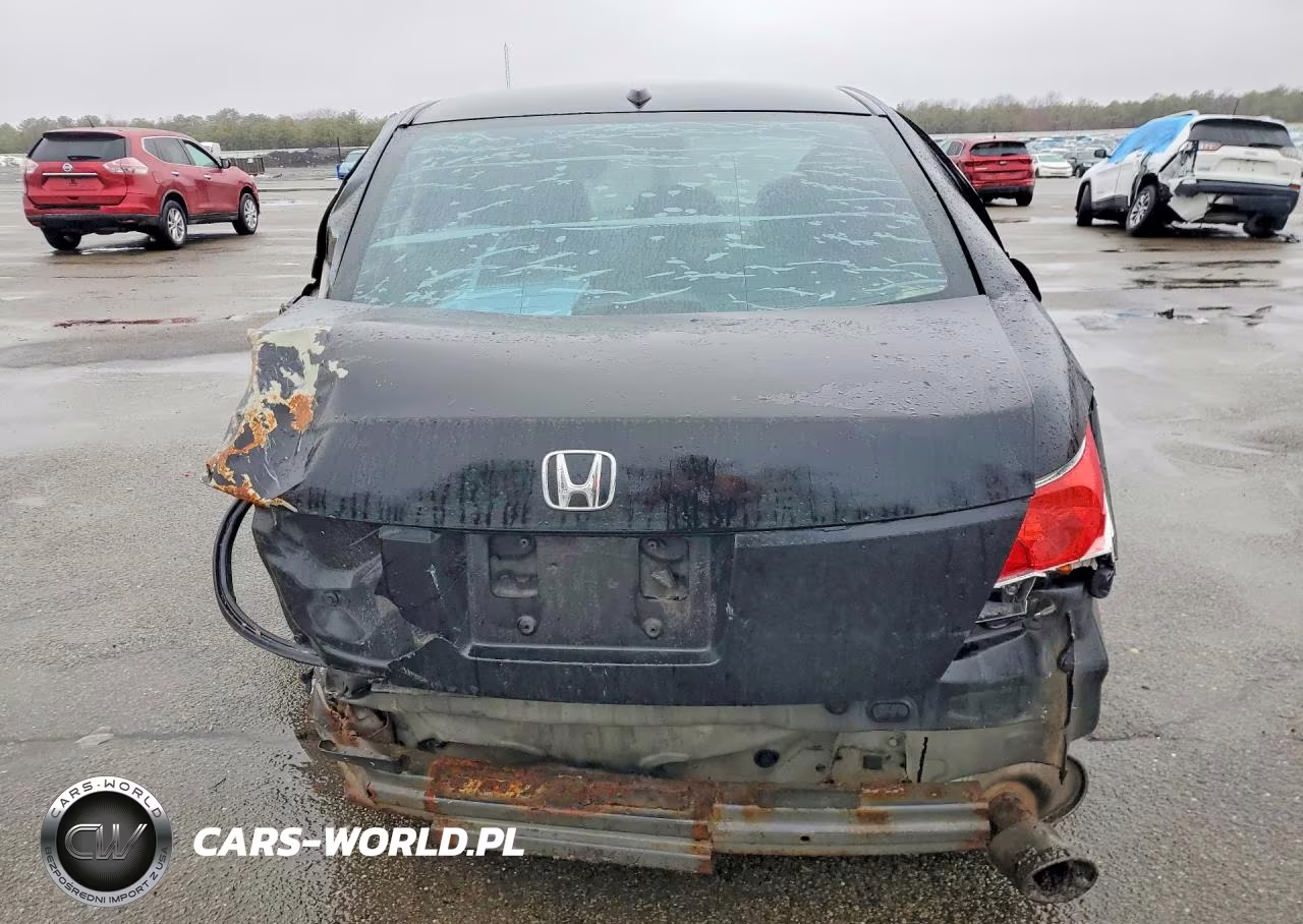 2010 Honda Accord Exl VIN:1HGCP2F84AA095662 - 6