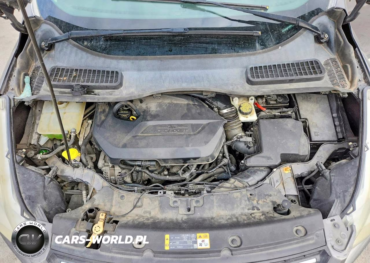2013 Ford Escape Se VIN:1FMCU0GX4DUA85844 - 12