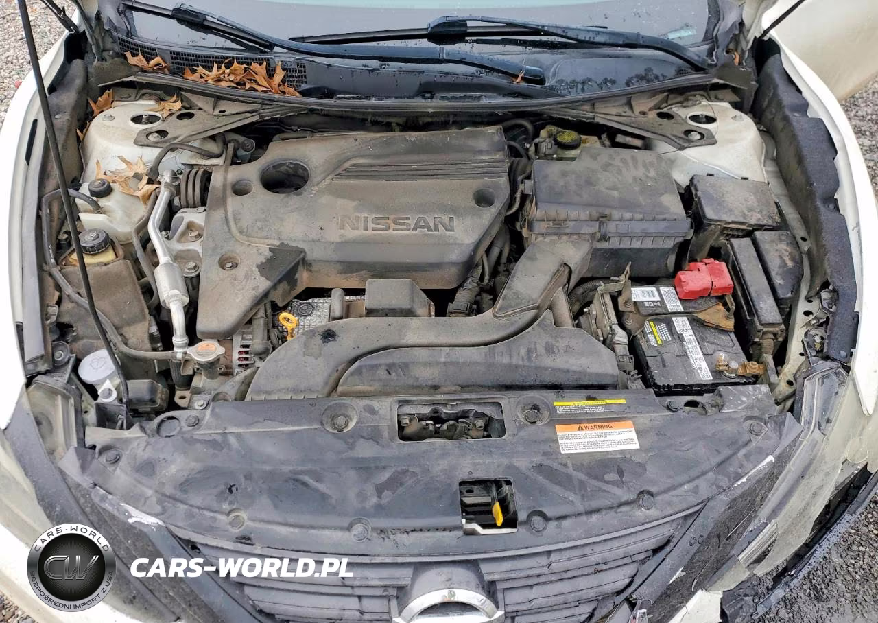 2016 Nissan Altima 2.5 VIN:1N4AL3AP0GC251527 - 11