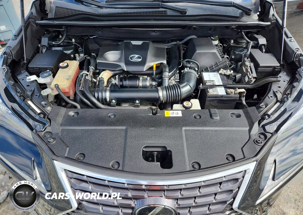 2018 Lexus Nx 300 Base VIN:JTJYARBZXJ2112517 - 12