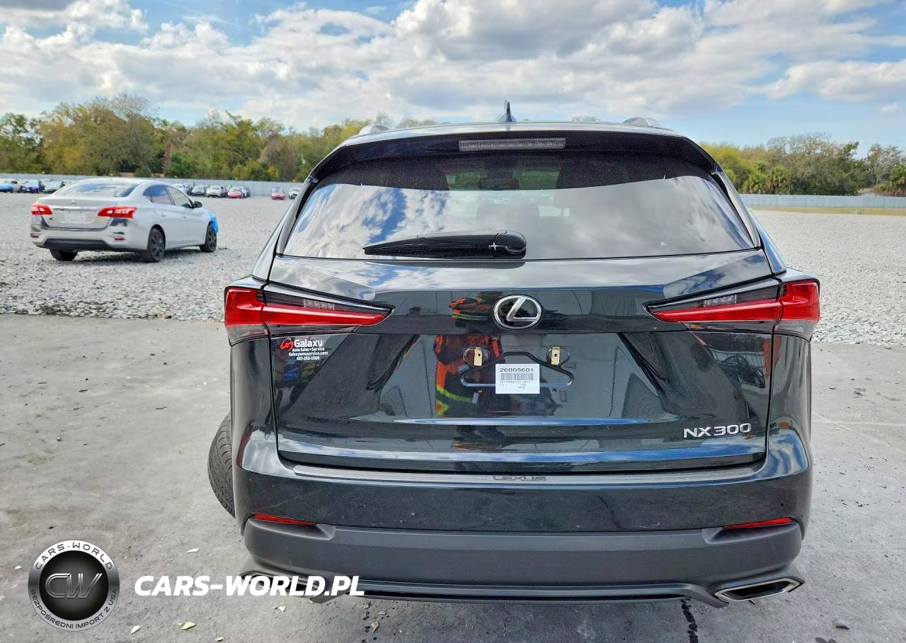 2018 Lexus Nx 300 Base VIN:JTJYARBZXJ2112517 - 6