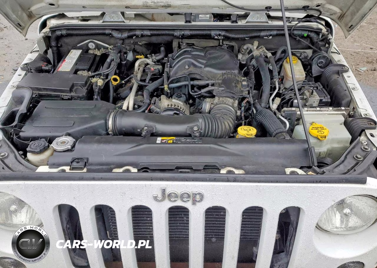 2017 Jeep Wrangler VIN:1C4BJWDG8HL654464 - 11