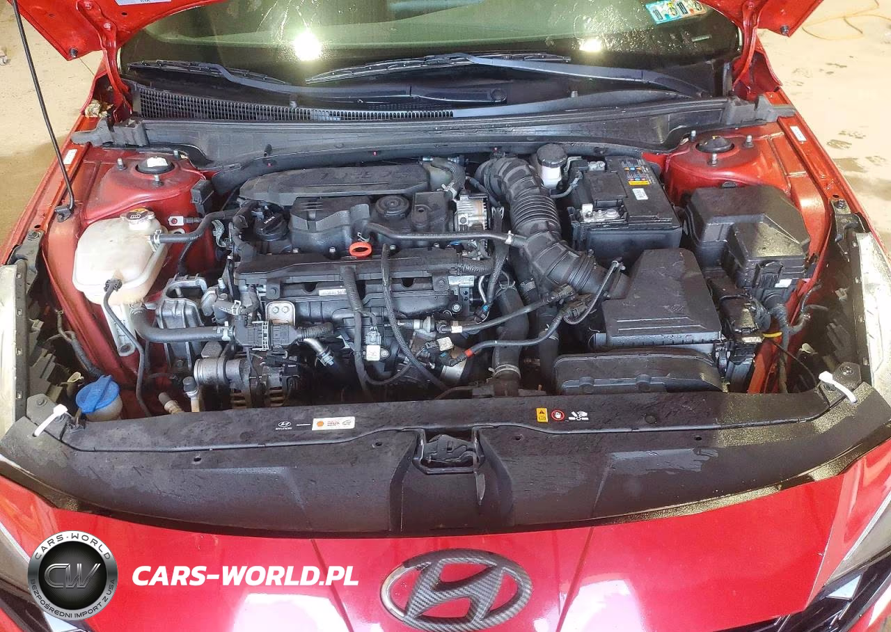 2021 Hyundai Elantra N Line VIN:KMHLR4AF7MU177507 - 11