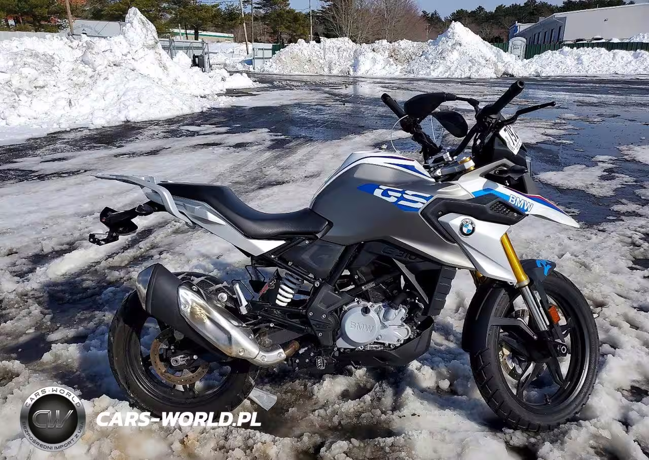 2019 BMW G310 Gs
